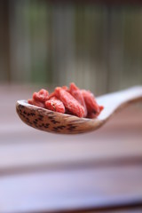 Wolfberry / goji berry