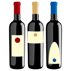 isolated wine bottles set