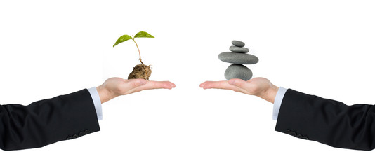 équilibre écologie nature zen futur préserver planète terre mond