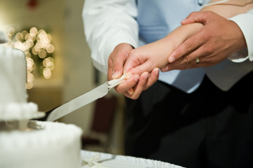 The groom and the bride cut a wedding cake