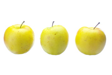 Yellow apples row