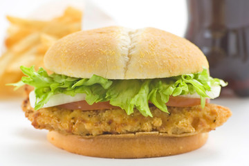 crisp chicken burger with tomato onion cheese lettuce