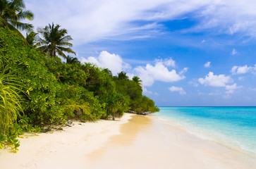 Tropical jungle and beach