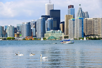 Toronto skyline © Elenathewise