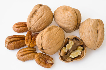 walnut