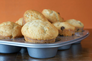 Fresh muffins