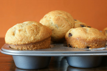 Fresh muffins