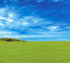 Green grassland and sky