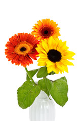 Obraz premium autumn flowers