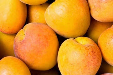 close-up apricot background