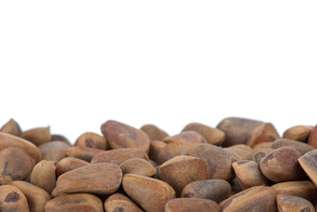 Obraz premium Some cedar nuts