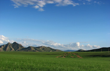 mongolian landscape - 11990906