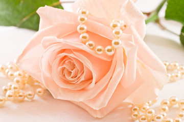 Soft pink rose and pearls - 11991179
