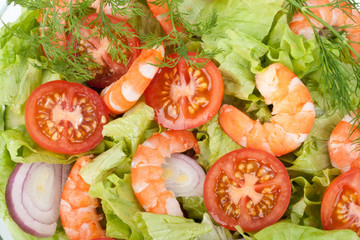 Salad from shrimps