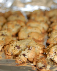 Freshly Baked Cookies