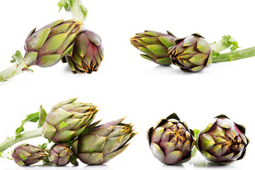 Obraz premium carciofi