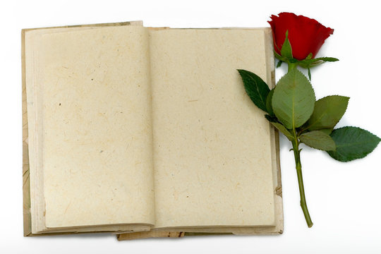 Diary with opened sheets and with red rose