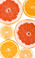 Fototapeta na wymiar lemon, orange and grapefruit