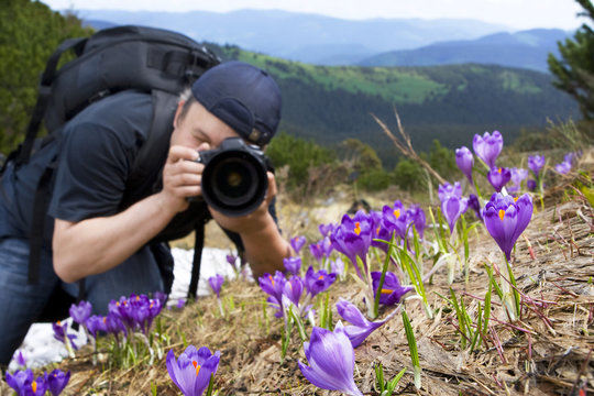 photographer take a picture of  flowers in mountains