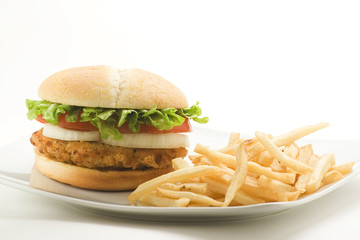 crisp chicken burger with tomato onion cheese lettuce