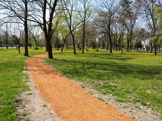 trails in the park