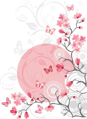 Cherry blossom background