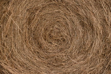Fardo de paja