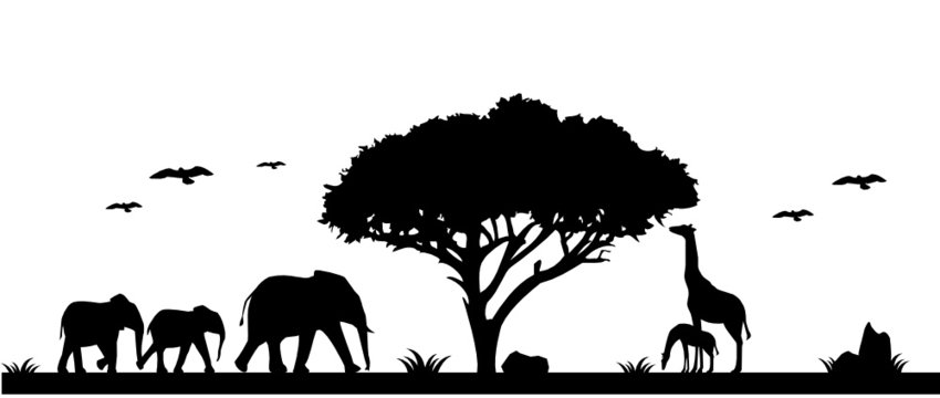 Afrika