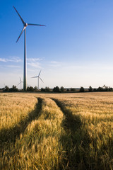 Short path to alternative energy. Wind turbines on a field.