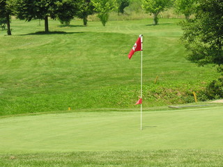 Obraz premium golf