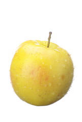 Yellow Fresh Apple