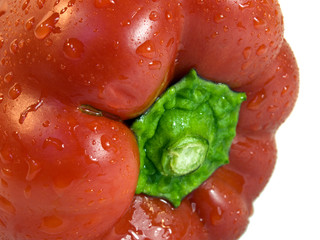 Bio-Paprika