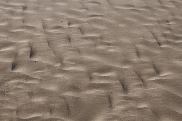 sand background