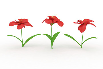 Three flowers