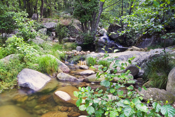 Garganta de Nuño Cojo.