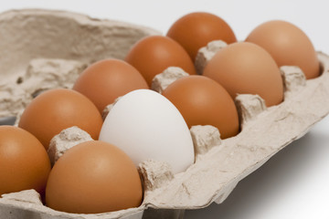 Group of hen's eggs in protective case: one white among beige