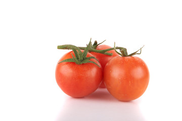 Tomato - Trio