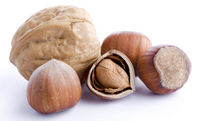 Hazelnuts