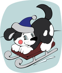dog by sledge