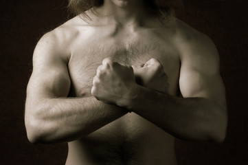 Male torso