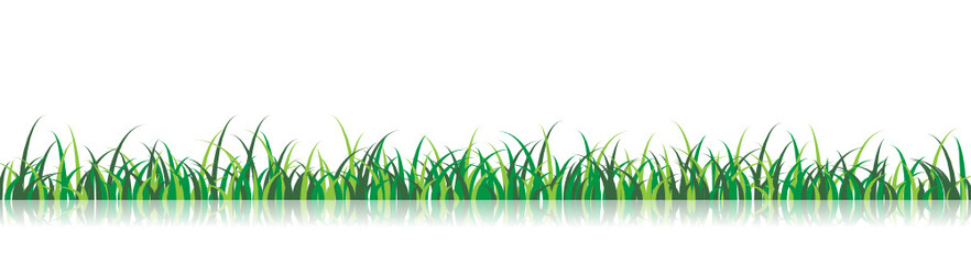 Vector Grass Illustration