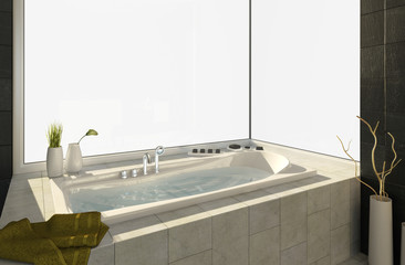 bathtub with views