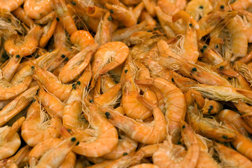 Gamberi