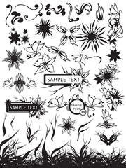 set of beauty floral vector