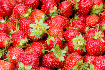 Fruit concept - red strawberries arranged as background