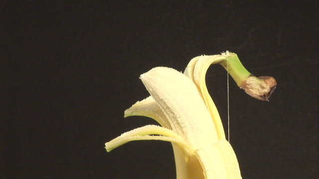 Eating a banana