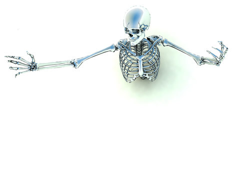 Skeleton In A Pose 5