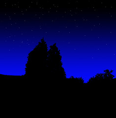 Naklejka premium Tree Silhouette At Night 5