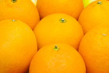 Close up of many oranges on the market