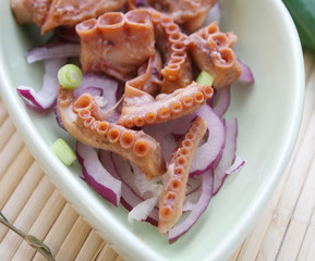 tintenfisch